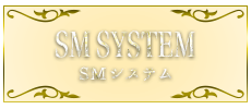 SM SYSTEM